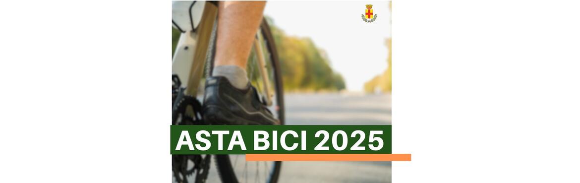 Immagine: Asta bici 2025