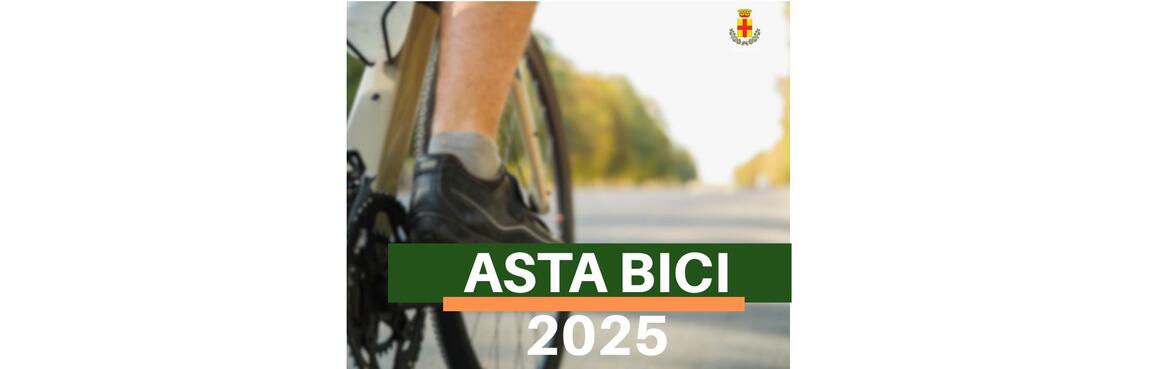 Immagine: Asta bici 2025