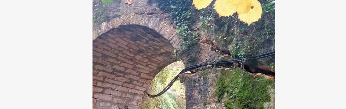 Immagine: Ponte via Riva Magrè